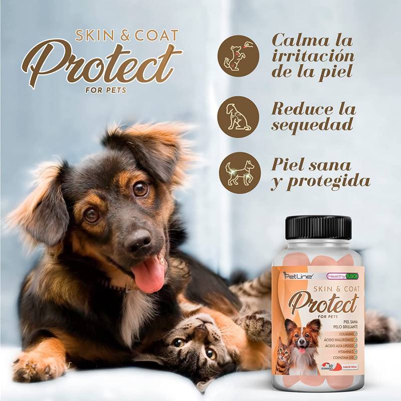 Hair & Coat Protect | Colágeno y Ácido Hialurónico para perros y gatos | 50u
