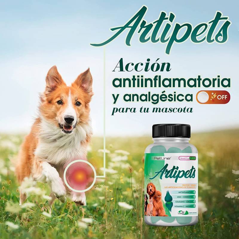 Artipets | Antiinflamatorio y Analgésico para perros y gatos | 50u