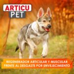 Articupet mascotas